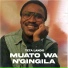 Cazumbi African Sixties Garage Volume 1
