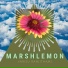 Marshlemon