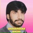 Shahanshah Bacha