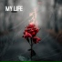 IcyLuv, MIRCHEL