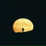 August Rush OST Mark Mancina