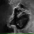 Dwain Willis, Mayur Koli feat. Ayaan
