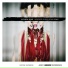 Daphne Guinness, Hercules & Love Affair