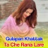 Gulapan Khattak