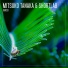 Mitsuko Tanaka, Shortlab