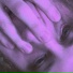 Defect Defect