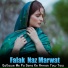 Falak Naz Marwat