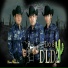 Los DLD2
