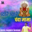 Vaibhav Bagmar