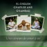 El Chojin, Charles Ans, Chambao