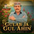 Babal Jamali