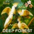 Deep Forest