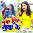 Akshay Chaudhary, Pratibha Rupalika