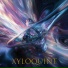 XYLOQUINT