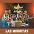 Organizacion Musical Centauro
