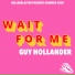 Guy Hollander