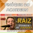 Pinóquio do Acordeon