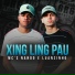 Mcs Nando and Luanzinho