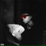 Rich J