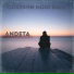 Andeta