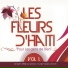 Meridional de Cayes