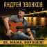 Андрей Звонков