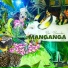 Boi-Bumbá Mangangá feat. Itamar Benarros
