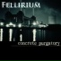 Fellirium
