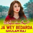 Ghulam Raj
