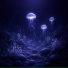 Elaris, deep sleep music collective