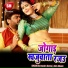 Dharmendra Sharma, Anita Shiwani