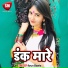 Arun Bawla