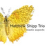 Matthew Shipp Trio