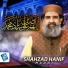 Shahzad Hanif Madni