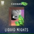 Cavaan