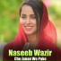 Naseeb Wazir