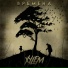 Xylem