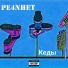 РЕЧИНЕТ