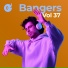 DJ Puddee Babee