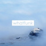 whatfunk