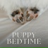 Sleep Dog