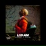 Lidam