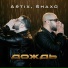 ARTIX, SHAXO