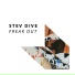 Stev Dive