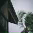 NATURE OF LIVE
