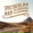 Spectacular Man