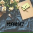 瑞可