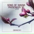 Sons Of Maria & Passenger 10