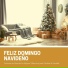 Nochebuena Collective