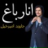 Javed Amirkhel